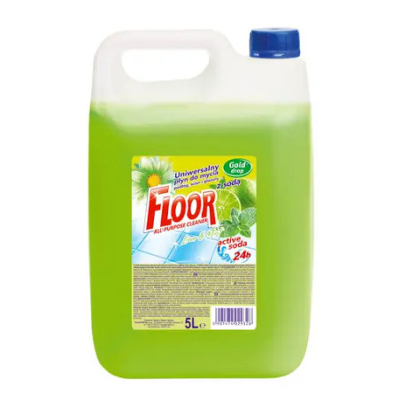 Uniwersalny płyn do podłóg, ścian, glazury "Limonka&Mięta" 5l